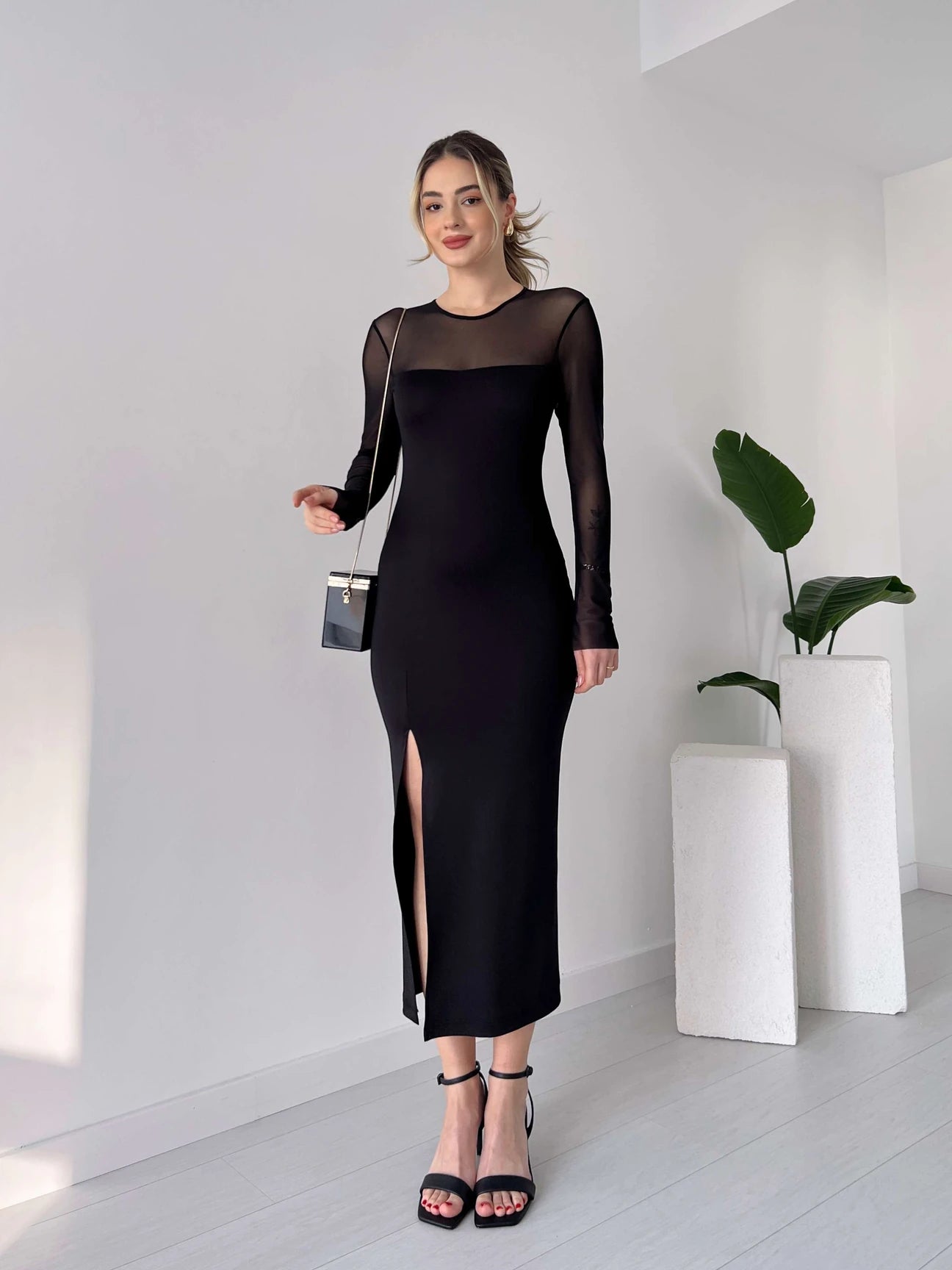 Eivy Classy Dress